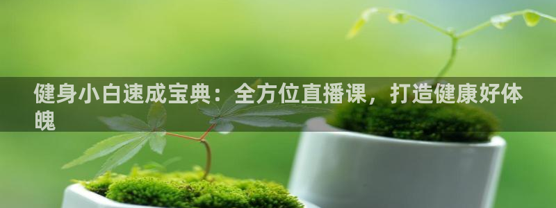 qy球友会体育(中国)官方网站